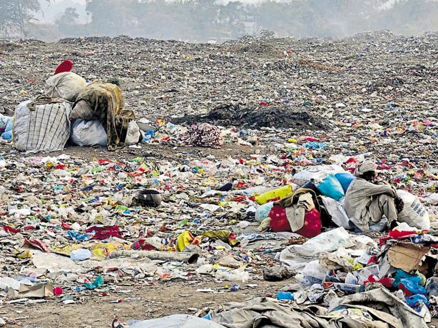 View of the garbage dump near Ghaluri Gate in Patiala on Monday.(Bharat Bhushan /HT Photo) View of the garbage dump near Ghaluri Gate in Patiala on Monday.(Bharat Bhushan /HT Photo)