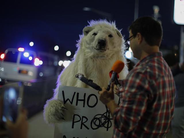 A journalist interviews an activist dressed up as a bear outside Hofstra University. (AFP Photo)