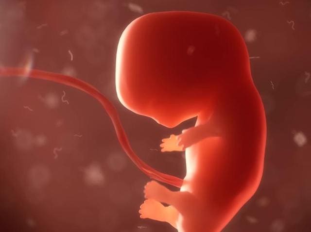 The world’s first baby has been born thanks to a technique employed by US scientists to include DNA from three parents in the embryo.(Shutterstock/Representative image) The world’s first baby has been born thanks to a technique employed by US scientists to include DNA from three parents in the embryo.(Shutterstock/Representative image)
