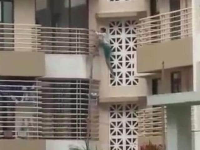 The video of his climbing the building and breaking the glass with a sword has gone viral.(Azim Tamboli)