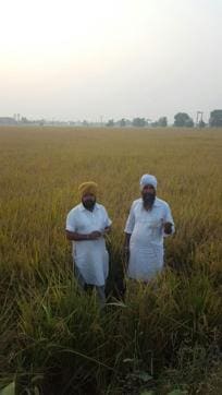 Many were vary of moving out till the harvest. (HT Photo)
