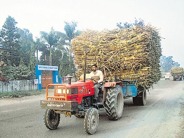 Will he get his dues? Politically connected industrialists owe Rs 223 crore to the government and sugarcane growers.(HT File) Will he get his dues? Politically connected industrialists owe Rs 223 crore to the government and sugarcane growers.(HT File)