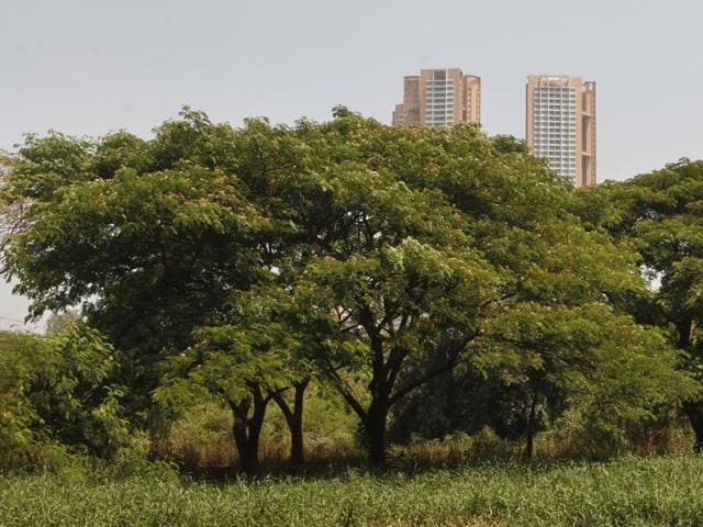 While MMRC officials claim that there is not any viable alternative for the 30-hectare Aarey Colony land, activists said they will not allow MMRC to chop a single tree in the colony.(Hindustan Times)