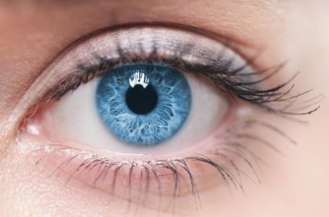  (Shutterstock)