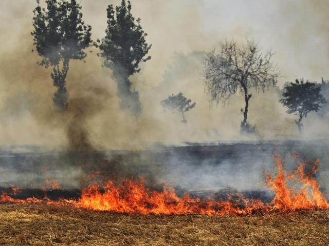 Stubble burning in winters leads to pollution in Delhi.