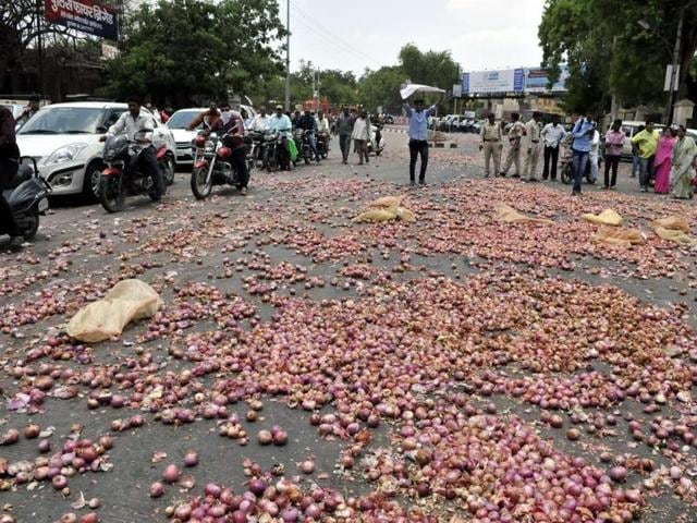 In many parts of the state, farmers had dumped onions as the market prices were so low that they could not even afford the transportation cost.(HT photo)