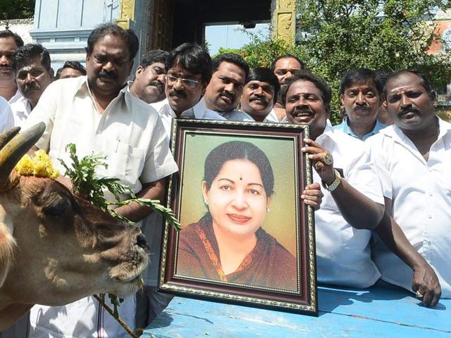 Amma followers hold special prayers near Triplicane temple in Chennai on Saturday. (V Srinivasulu / HT Photo) Amma followers hold special prayers near Triplicane temple in Chennai on Saturday. (V Srinivasulu / HT Photo)