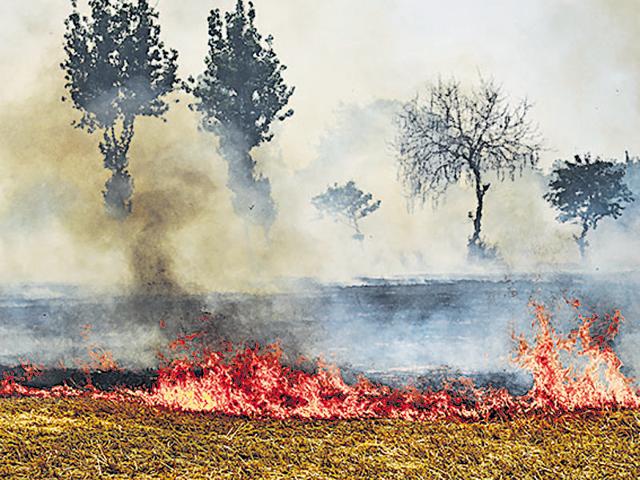 Indiscriminate burning of crop stubble in neighbouring states adds to the air pollution in Delhi.(Gurpreet Singh /HT File) Indiscriminate burning of crop stubble in neighbouring states adds to the air pollution in Delhi.(Gurpreet Singh /HT File)