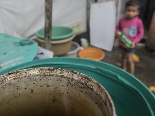 A mosquito breeding site in a Mumbai slum. Stagnant water — stored in large bins or under flower pots — are common breeding spots. (Satish Bate/HT PHOTO)