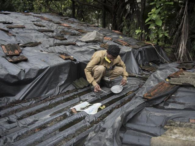 A BMC staffer removes mosquito larvae from a breeding site in Mumbai. (Satish Bate/HT PHOTO)