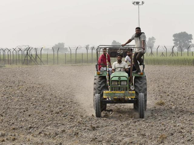 All seems calm for farmers working close to the border fence along Pakistan at Mulankot village in Amritsar sector on Sunday.(Gurpreet Singh/HT Photo)