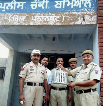Police officials showing a Pakistani pigeon (in cage) that was captured by BSF jawans in Pathankot district on Sunday. (PTI Photo)