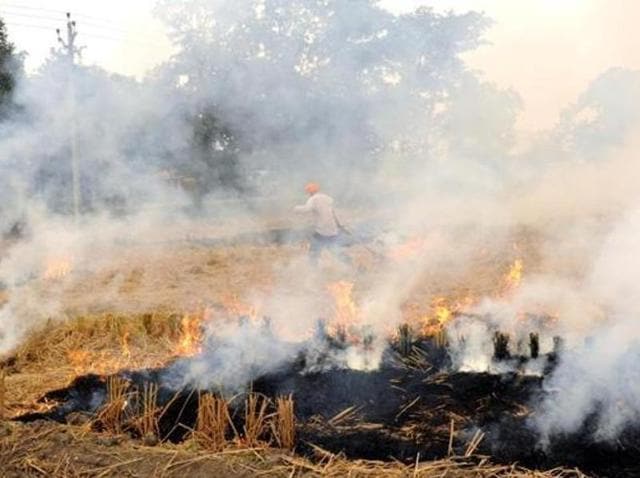 The accused was arrested and produced in court, which granted him bail.(HT Representative Image)