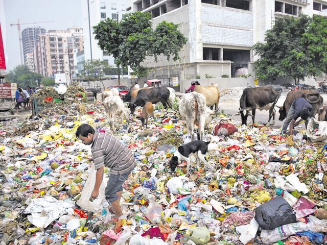 The agency plans to construct boundary walls on three sides of the open centres. (Sakib Ali/HT Photo) The agency plans to construct boundary walls on three sides of the open centres. (Sakib Ali/HT Photo)