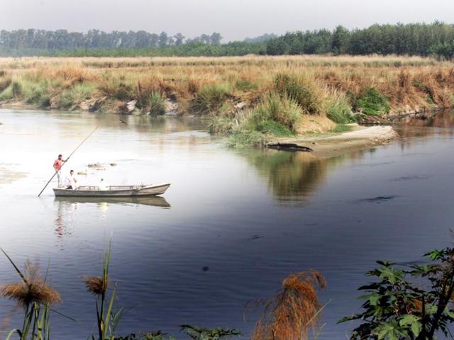 The two contrasting shades of water, black on the Ludhiana side and relatively clear on the other, are visible where the Buddha Nullah meets the Sutlej River at Walipur village.(JS Grewal/HT Photo) The two contrasting shades of water, black on the Ludhiana side and relatively clear on the other, are visible where the Buddha Nullah meets the Sutlej River at Walipur village.(JS Grewal/HT Photo)