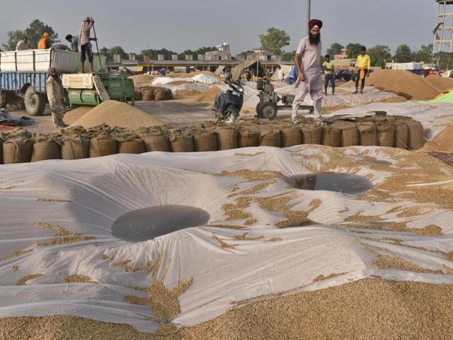 Workers removing rainwater from paddy in the Attari village grain marker, 25km from Amritsar, on Wednesday, October 5. (Gurpreet Singh/HT Photo) 