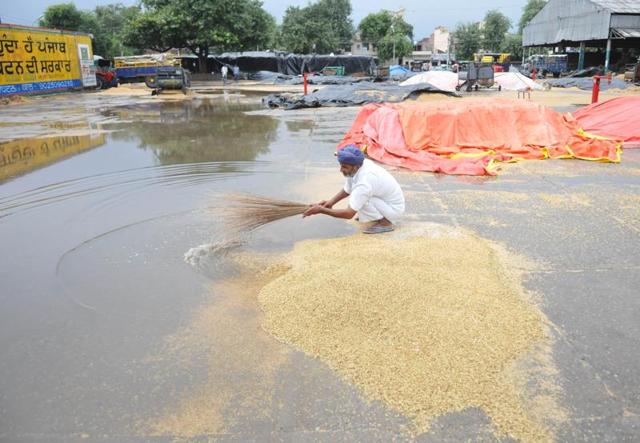At New Grain Market, Jalandhar, after rain on Wednesday. (Pardeep Pandit/HT Photo) 