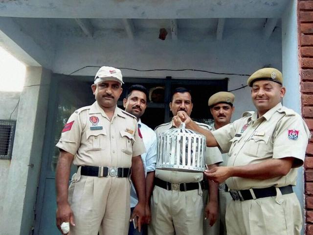 On October 2, a pigeon purportedly from Pakistan was found by Border Security Force (BSF) personnel at the Simbal post in Bamial sector in Pathankot. (PTI) On October 2, a pigeon purportedly from Pakistan was found by Border Security Force (BSF) personnel at the Simbal post in Bamial sector in Pathankot. (PTI)