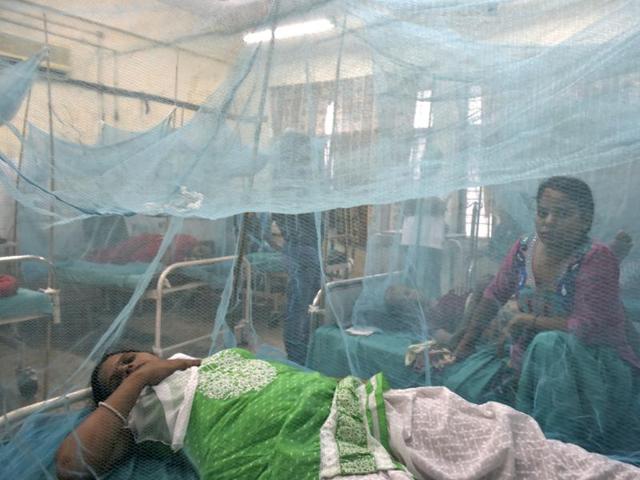 New Delhi, India - Sept. 21, 2016: Dengue and Chikungunya ward at Aruna Asaf Ali Hospital in New Delhi, India, on Wednesday, September 21, 2016. (Photo by Saumya Khandelwal/ Hindustan Times) (Saumya Khandelwal/HT PHOTO) New Delhi, India - Sept. 21, 2016: Dengue and Chikungunya ward at Aruna Asaf Ali Hospital in New Delhi, India, on Wednesday, September 21, 2016. (Photo by Saumya Khandelwal/ Hindustan Times) (Saumya Khandelwal/HT PHOTO)