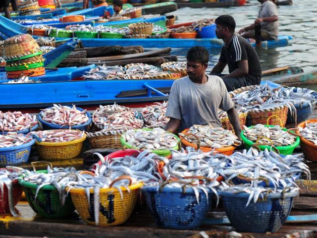 The latest incident comes a day after five fishermen from Pudukottai District were detained by Sri Lankan Naval personnel along with their boat. (AFP File Photo) The latest incident comes a day after five fishermen from Pudukottai District were detained by Sri Lankan Naval personnel along with their boat. (AFP File Photo)