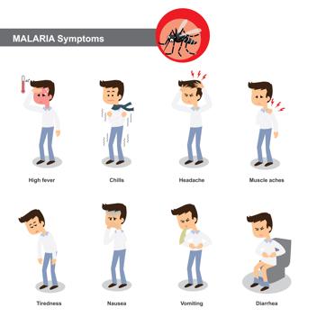 Article image Article image