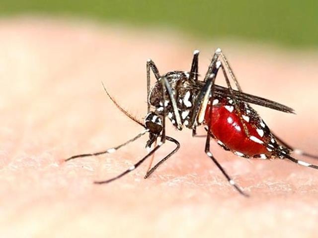 National football player Gaurav Kundu, who stays at Awadhpuri, tested positive for dengue on Wednesday.(Photo: Shutterstock) National football player Gaurav Kundu, who stays at Awadhpuri, tested positive for dengue on Wednesday.(Photo: Shutterstock)