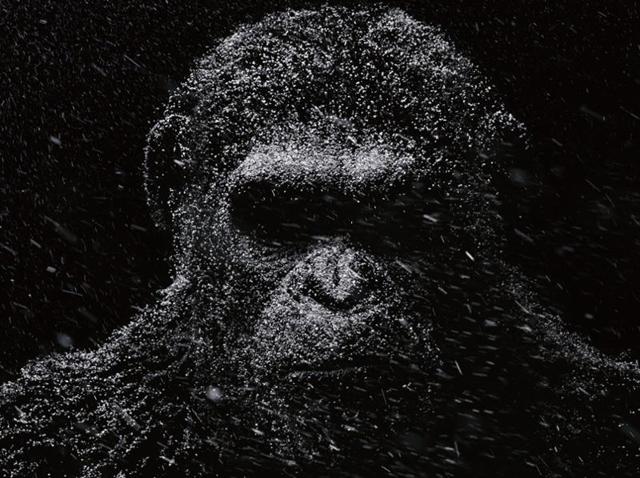 War for the Planet of the Apes, the third in the Planet of the Apes reboot series, bows on July 14, 2017. War for the Planet of the Apes, the third in the Planet of the Apes reboot series, bows on July 14, 2017.
