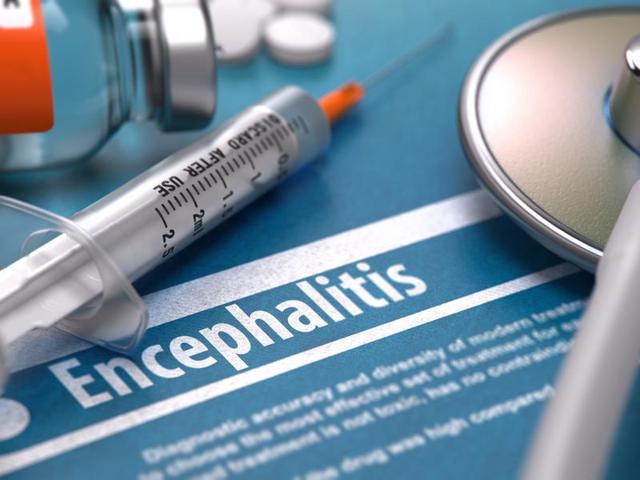 Japanese encephalitis has claimed at least 38 lives in Odisha’s Malkangiri. (Shutterstock/Representative image) Japanese encephalitis has claimed at least 38 lives in Odisha’s Malkangiri. (Shutterstock/Representative image)