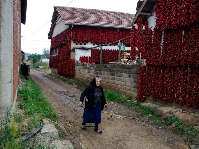From there, it moved across Iberia to Africa and Asia before reaching Central Europe with the Ottomons. A woman walks along a road as bunches of paprika hang on the walls in Donja Lakosnica. (REUTERS) From there, it moved across Iberia to Africa and Asia before reaching Central Europe with the Ottomons. A woman walks along a road as bunches of paprika hang on the walls in Donja Lakosnica. (REUTERS)