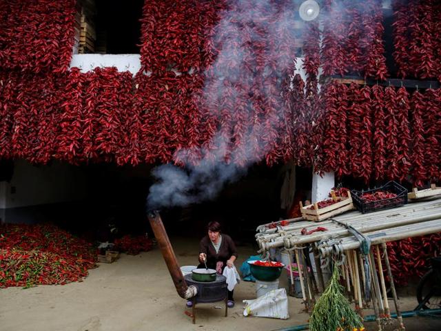 Paprika is a spice made from air-dried fruits of the chili pepper. A Serbian woman cooks as bunches of paprika hang on the wall of her house. (REUTERS) Paprika is a spice made from air-dried fruits of the chili pepper. A Serbian woman cooks as bunches of paprika hang on the wall of her house. (REUTERS)