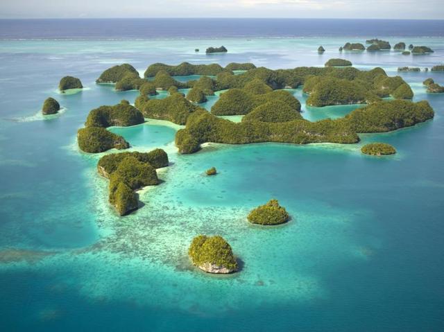 Site Rock Islands Southern Lagoon, Republic of Palau: The island country of the Republic of Palau is located in the Pacific Island. This is a small collection of limestone or coral uprises, ancient relics of coral reefs.  (AFP) 