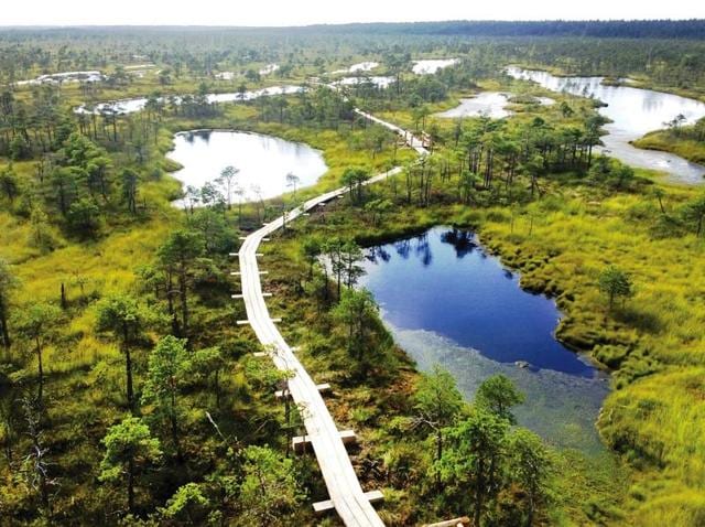Jurmala: This Latvian city is sandwiched between the Gulf of Riga and river Lielupe and was a favourite holiday-resort and tourist destination for high-level Communist Party official when it was part of erstwhile Soviet Union. (AFP) 