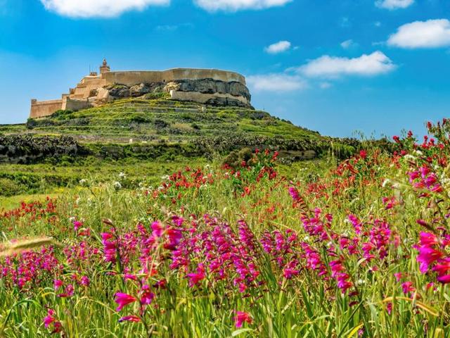 The Citadel Gozo is a citadel (it blends the features of a medieval castle and a fortress) in Victoria, on the island of Gozo in Malta. The area has been inhabited since the Bronze Age.  (AFP) 