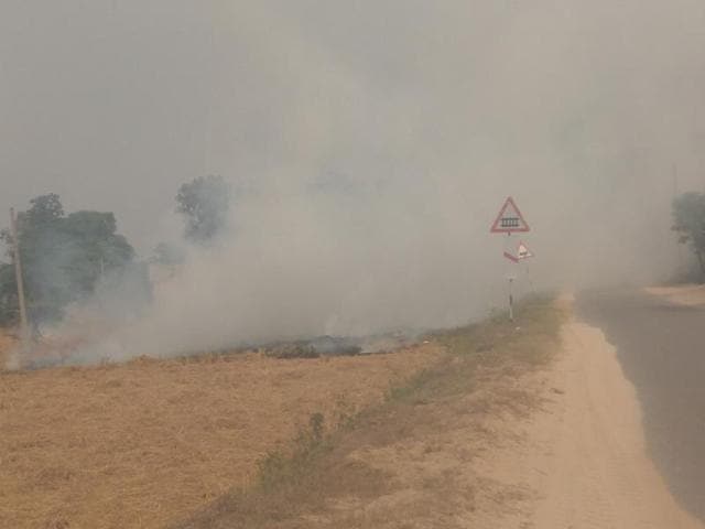 Burning of paddy straw has resulted in low visibility on roads adjacent to fields.(HT Photo) Burning of paddy straw has resulted in low visibility on roads adjacent to fields.(HT Photo)