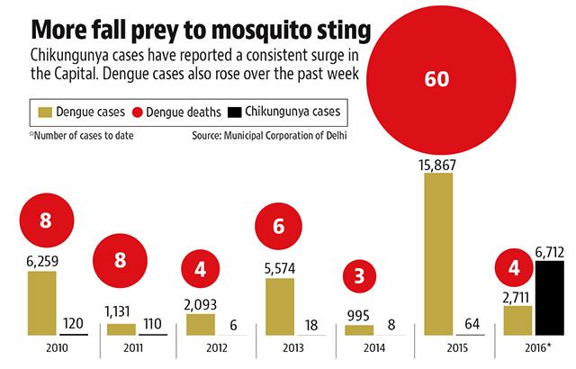 New Chikungunya Cases In Delhi Drop For First Time This Year, Dengue On ...