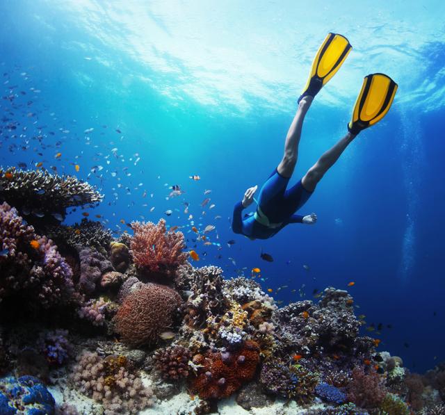 Warm, sunny holiday locations such as Maldives, Egypt and Thailand make for ideal destinations for underwater divers. (Shutterstock)