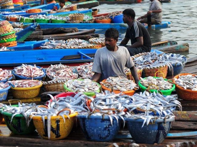 The injured fishermen were treated at Pamban government hospital. (AFP Photo) The injured fishermen were treated at Pamban government hospital. (AFP Photo)