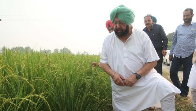 PPCC president Captain Amarinder Singh at a border area village of Tarn Taran district. (HT File Photo) PPCC president Captain Amarinder Singh at a border area village of Tarn Taran district. (HT File Photo)