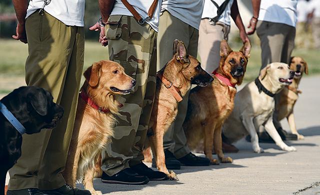 (File photo by Sushil Kumar/ Hindustan Times)