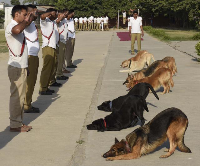 (Sushil Kumar/HT Photo) (Sushil Kumar/HT Photo)