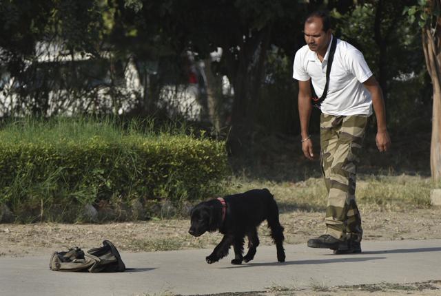 Dogs play an important role in bomb detection because their reaction time is faster than humans.. (Sushil Kumar/HT Photo) Dogs play an important role in bomb detection because their reaction time is faster than humans.. (Sushil Kumar/HT Photo)