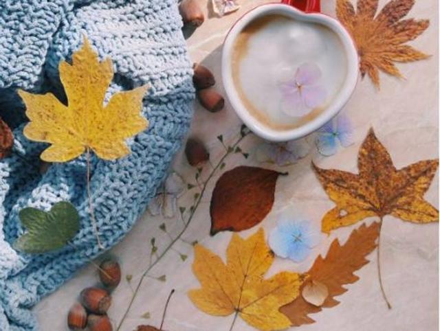 “Looking for all the little treasures and bringing nature home, pressing leaves and dying flowers, making lovely arrangements and drinking coffee - just some of the ways I love spending my me time the most.” (Instagram/beakonya) 