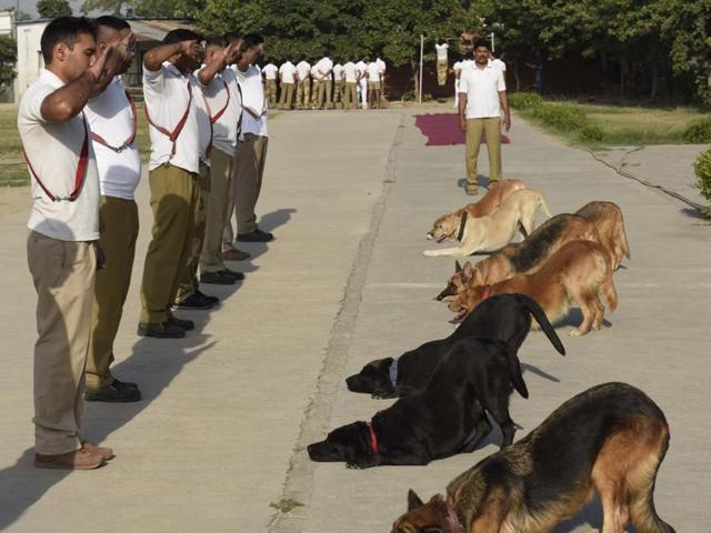 The CISF dog squad giving training to its dogs at Shastri Park in New Delhi on October 13, 2016. (Sushil Kumar/HT PHOTO) The CISF dog squad giving training to its dogs at Shastri Park in New Delhi on October 13, 2016. (Sushil Kumar/HT PHOTO)