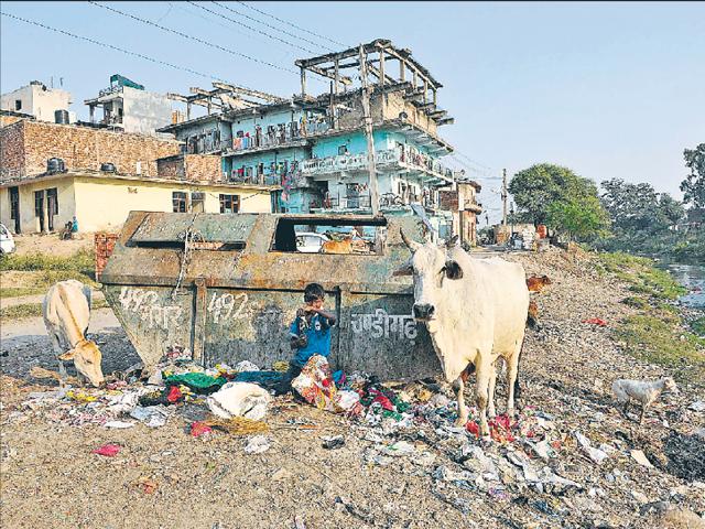 Refuse is an ever-present reality at Kajheri village.(Keshav Singh/HT)