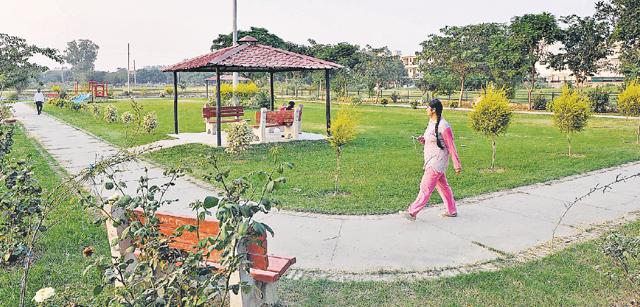 Residents do give the councillor some credit for maintenance of green belt in Sector 43. (Keshav Singh/HT Photo) Residents do give the councillor some credit for maintenance of green belt in Sector 43. (Keshav Singh/HT Photo)