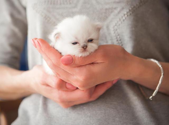 Pets are more than just animals: This is how kids react to losing a pet | Health - Hindustan Times Pets are more than just animals: This is how kids react to losing a pet | Health - Hindustan Times