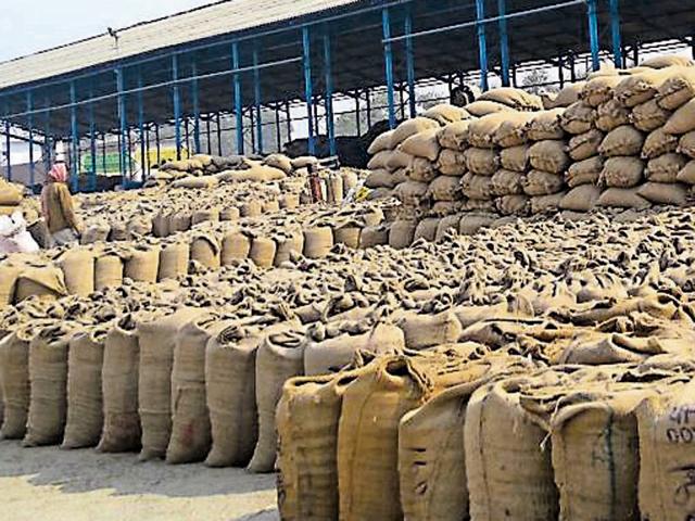 he prices of Basmati varieties have jumped by Rs 500 to Rs 700 per quintal. (HT File Photo) he prices of Basmati varieties have jumped by Rs 500 to Rs 700 per quintal. (HT File Photo)