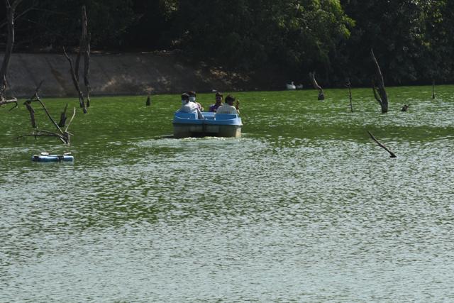 Deaths of two more birds each were reported in Delhi Zoo and Deer Park while three dead birds were spotted in Sundar Nagar, near the zoo, and one in Tughlakabad in the city’s deep south. (Arun Sharma/HT Photo) Deaths of two more birds each were reported in Delhi Zoo and Deer Park while three dead birds were spotted in Sundar Nagar, near the zoo, and one in Tughlakabad in the city’s deep south. (Arun Sharma/HT Photo)