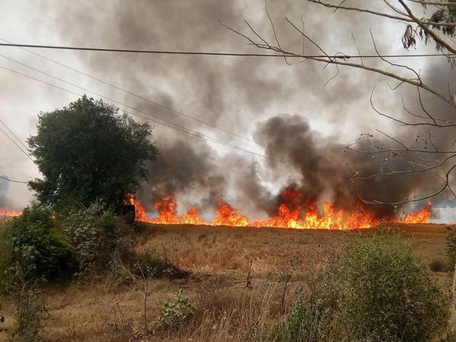 Stubble burning rampant despite ban in Amritsar. (HT File Photo) Stubble burning rampant despite ban in Amritsar. (HT File Photo)