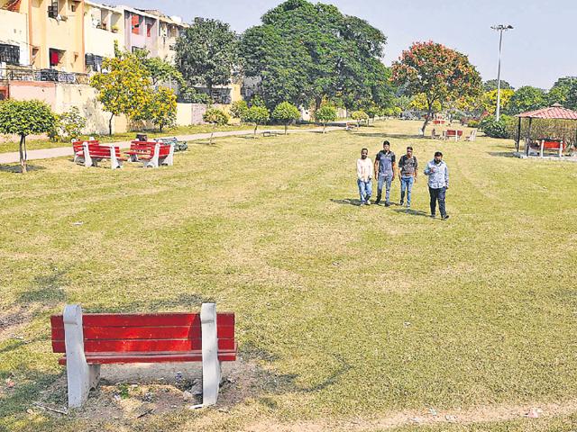 A view of a well-maintained green belt in Sector 20. (HT Photo) A view of a well-maintained green belt in Sector 20. (HT Photo)
